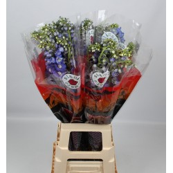 Delphinium el guardian blue