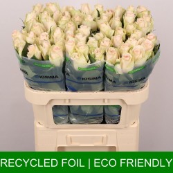 Rosa la high and bridal